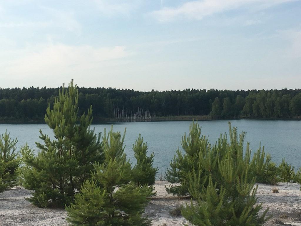 Ferienwohnung am Schiederdamm Schwandorf in Bayern Zimmer foto